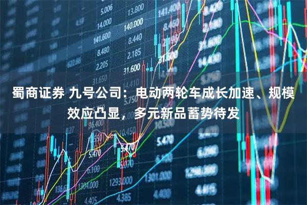 蜀商证券 九号公司：电动两轮车成长加速、规模效应凸显，多元新品蓄势待发